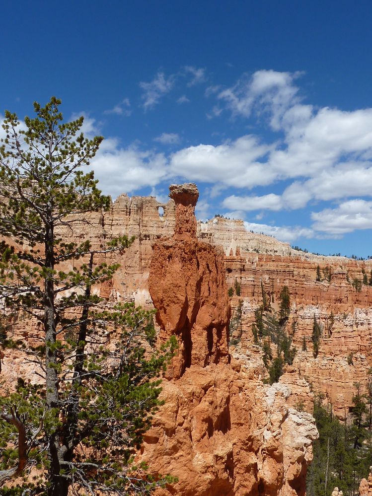 bryce canyon (77).JPG